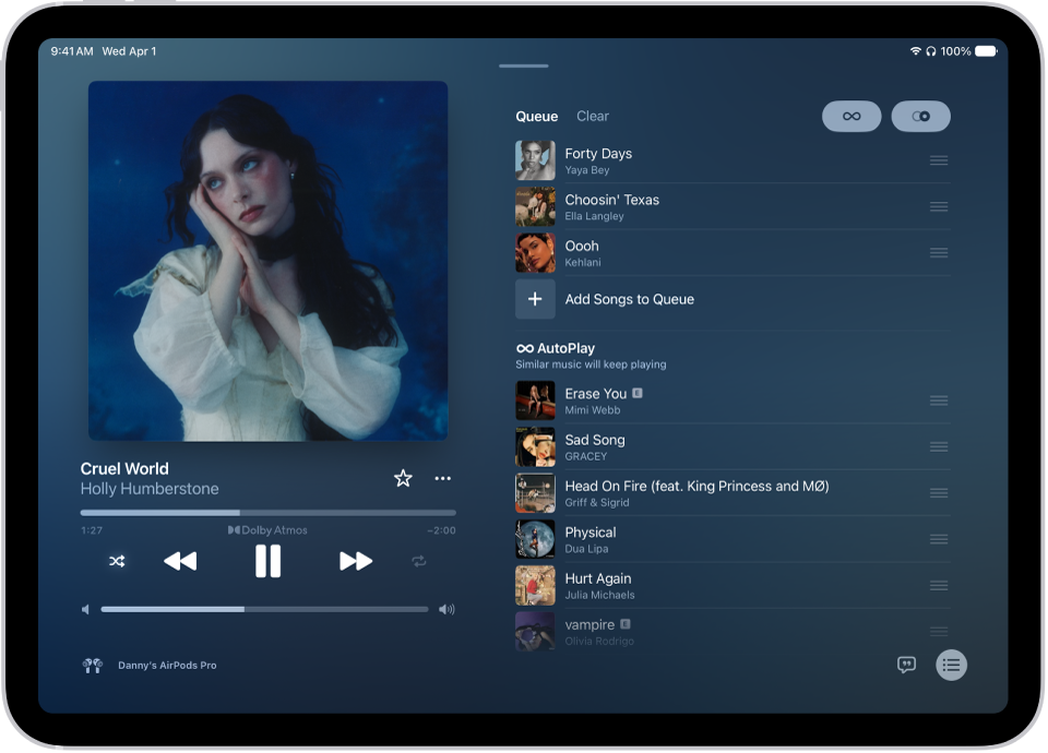 The Now Playing screen showing the queue with AutoPlay and AutoMix turned on. Similar songs appear below the songs in the album.
