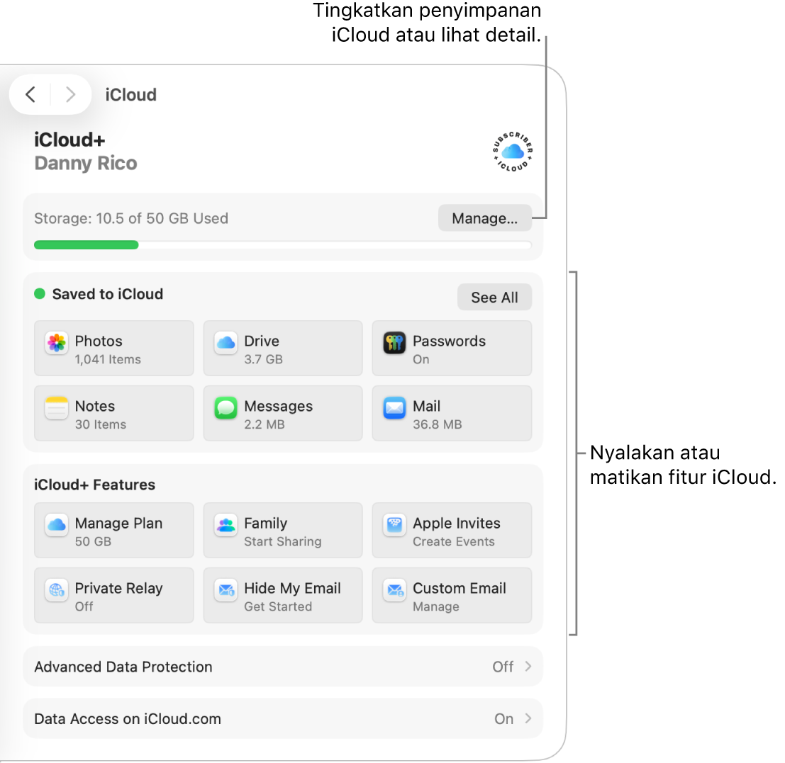 Pengaturan iCloud untuk fitur yang paling sering digunakan.