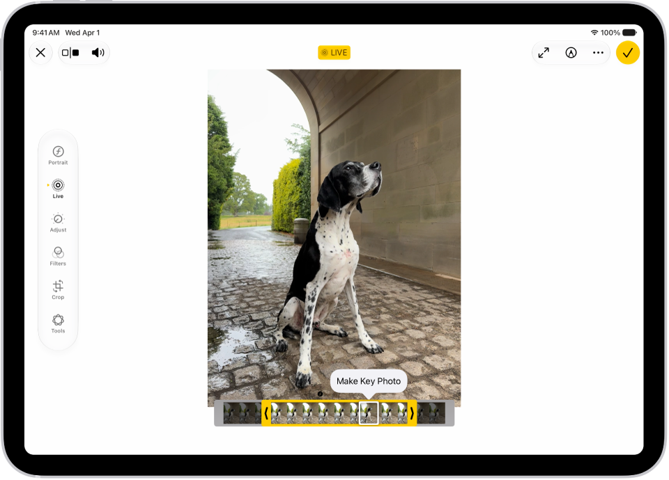 A Live Photo is in the center of the Edit screen in the Photos app. The frame viewer is across the bottom of the video and a yellow outline is around the selected frames to include in the edited Live Photo; a single frame is selected to make key photo. The editing tools are on the left side of the screen: from the top to bottom, Live Photo, Adjust, Filters, and Crop. Live Photo is selected.