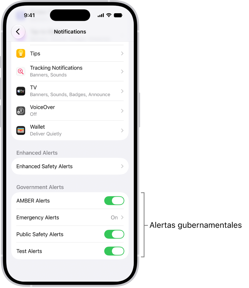 La pantalla Notificaciones mostrando la opción Alertas gubernamentales, la cual se puede activar para recibir estas alertas.