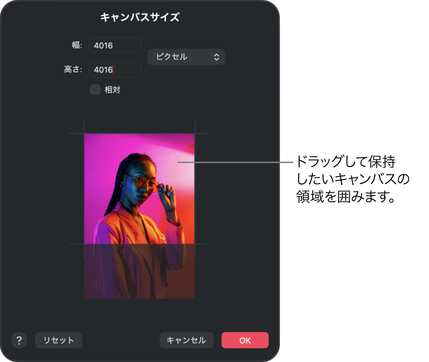 キャンバスのサイズウインドウ。