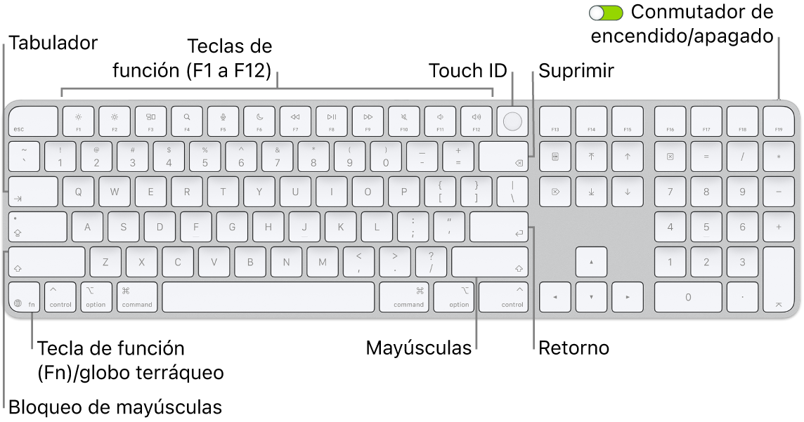Magic&nbsp;Keyboard con Touch&nbsp;ID y teclado numérico, con la fila de teclas de función y Touch&nbsp;ID en la parte superior, y la tecla Función (Fn) o del globo terráqueo a la derecha de la tecla Suprimir.