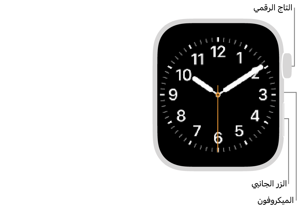 الجزء الأمامي من Apple&nbsp;Watch&nbsp;Series&nbsp;9 وتظهر به شاشة العرض التي تعرض واجهة الساعة والتاج الرقمي والميكروفون والزر الجانبي من أعلى إلى أسفل على جانب الساعة.