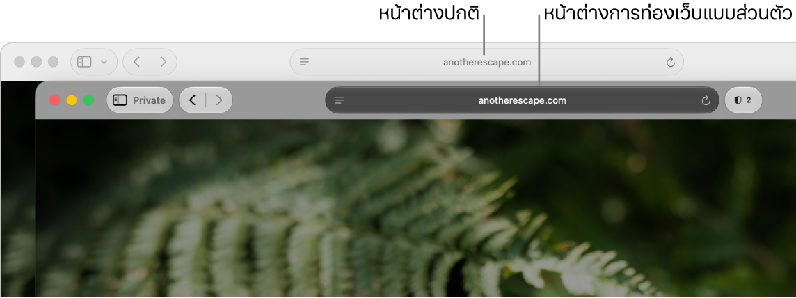 หน้าต่าง Safari แบบส่วนตัวที่มีช่องค้นหาอัจฉริยะสีเข้ม และหน้าต่าง Safari แบบปกติที่มีช่องค้นหาอัจฉริยะสีอ่อน