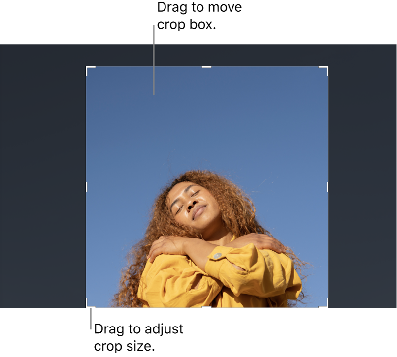 An image in the canvas with a crop box overlay.