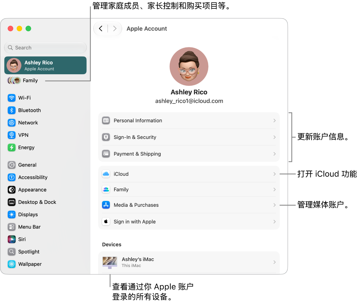 “系统设置”中的“Apple 账户”设置，包含更新账户信息、打开或关闭 iCloud 功能、管理媒体账户和调整“家人共享”设置（可在其中管理家庭成员、家长控制和购买项目等）的标注框。