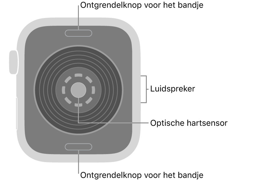 De achterkant van de Apple&nbsp;Watch&nbsp;SE&nbsp;3, met aan de boven- en onderkant de ontgrendelknoppen van het bandje, in het midden de optische hartsensor en aan de zijkant de luidspreker.