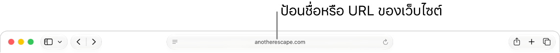 ช่องค้นหาอัจฉริยะของ Safari ที่ซึ่งคุณสามารถป้อนชื่อหรือ URL ของเว็บไซต์ได้