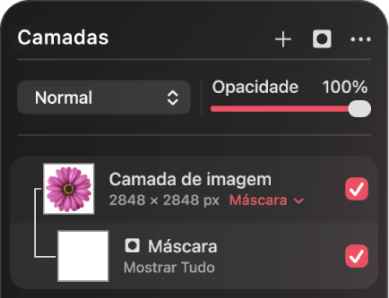Uma camada de máscara na barra lateral Camadas.