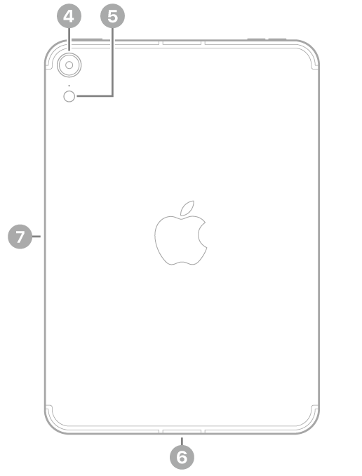 La vue arrière de l’iPad&nbsp;mini, avec des légendes liées à la caméra arrière et au flash en haut à gauche, au connecteur USB-C en bas au centre, et au connecteur magnétique pour l’Apple&nbsp;Pencil à gauche.