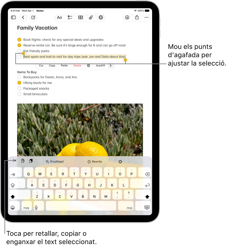 En una nota de l’app Notes se selecciona un fragment de text. A sobre del text seleccionat hi ha un menú amb els botons de retallada, còpia i enganxada, entre d’altres. El text seleccionat està ressaltat, i a cada extrem té un punt d’agafada per ajustar la selecció.