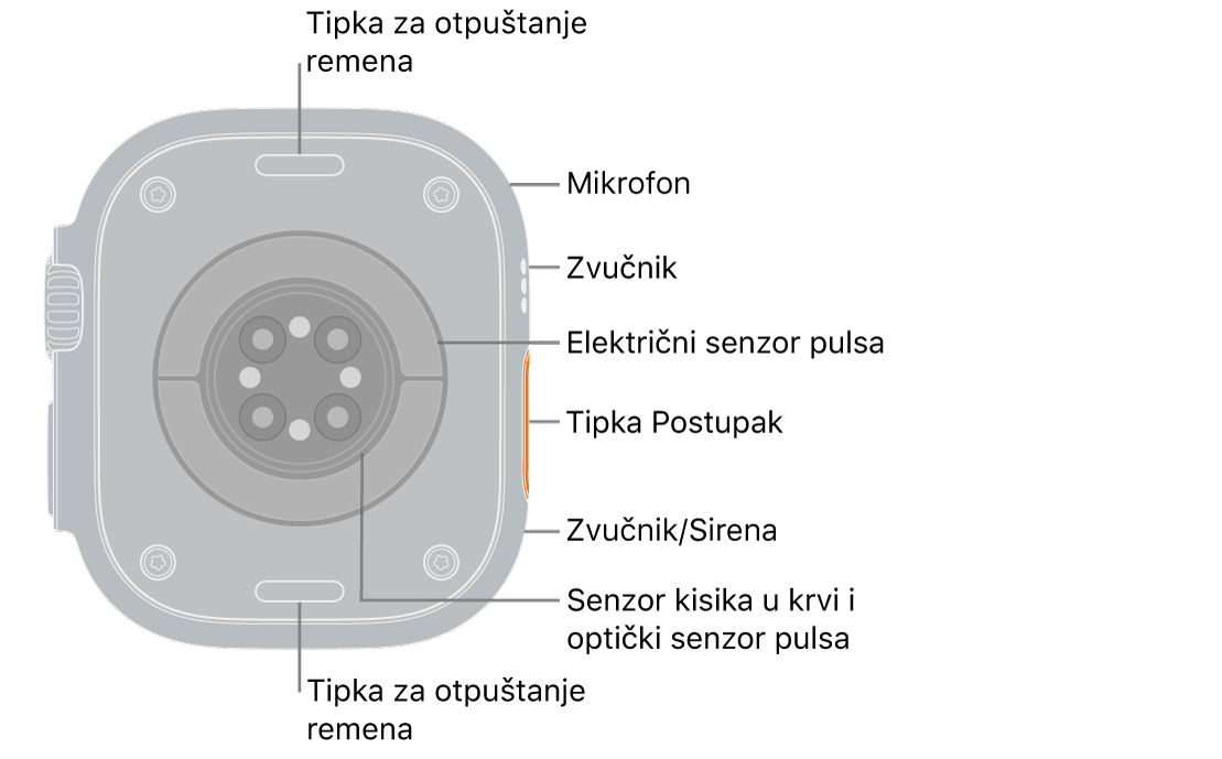 Poleđina sata Apple Watch Ultra 3 s tipkama za otpuštanje remena na vrhu i dnu. Sa strane se nalaze mikrofon, zvučnik, električni senzor srca, tipka postupka, priključak zvučnika iz kojeg se emitira sirena, senzori za zasićenost kisikom i optički senzori srca.