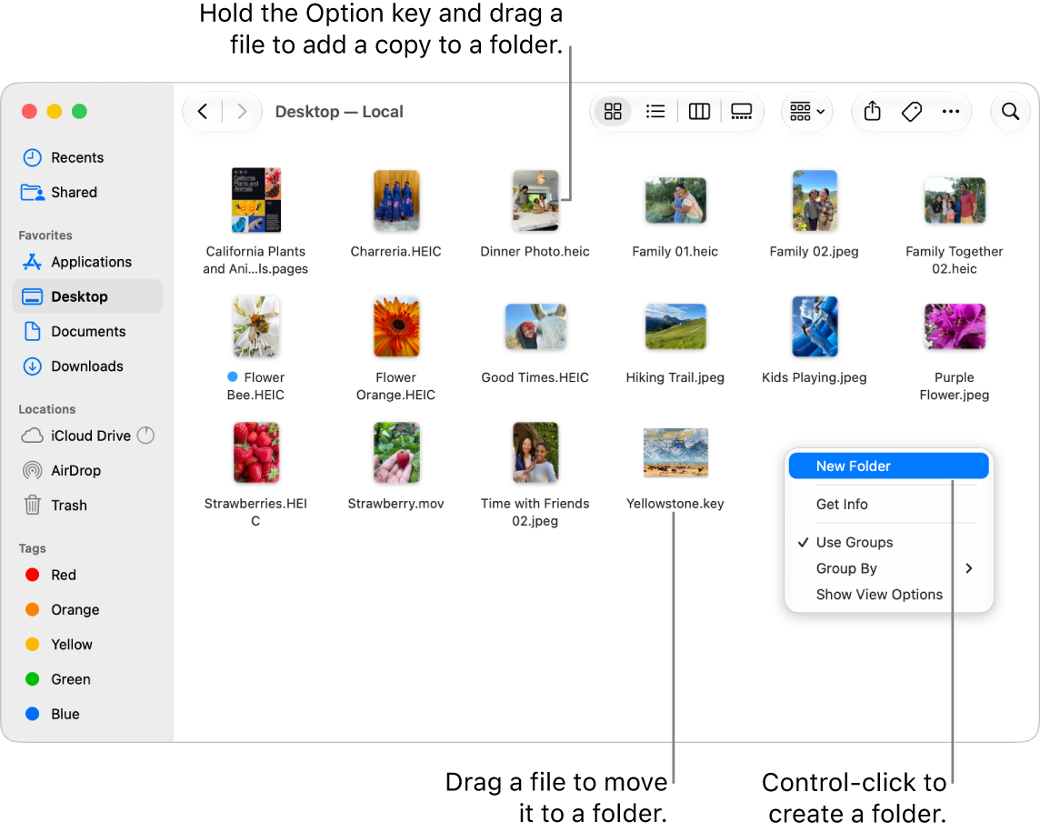 A Finder window containing files and folders. In the shortcut menu, New Folder is highlighted.