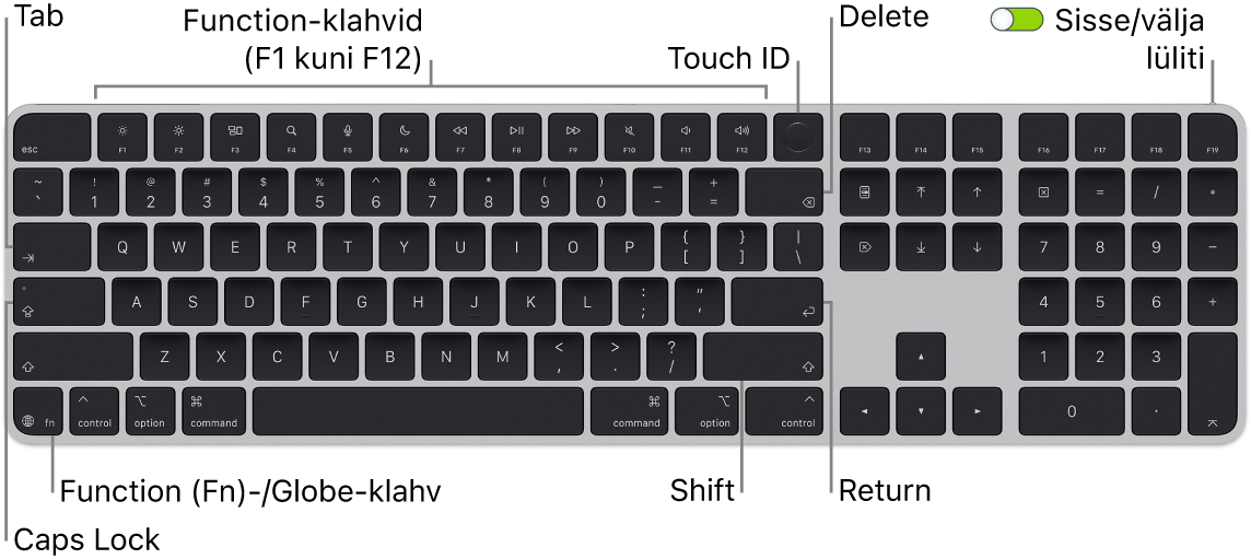 Touch ID-ga ja numbriklahvistikuga Magic Keyboard, mille ülaosas on funktsiooniklahvide rida ja Touch ID ning all vasakul klahv Function (Fn)/Globe.