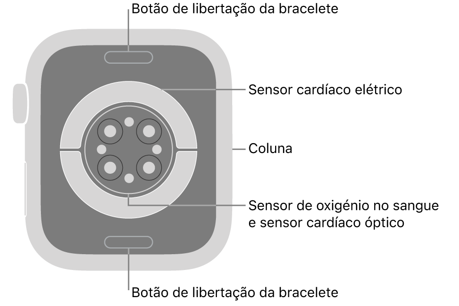 Apple&nbsp;Watch&nbsp;Series&nbsp;9 visto de trás com os botões de libertação da bracelete na parte superior e na parte inferior, os sensores cardíacos elétricos, os sensores cardíacos óticos e os sensores de oxigénio no sangue ao meio e a coluna na parte lateral.