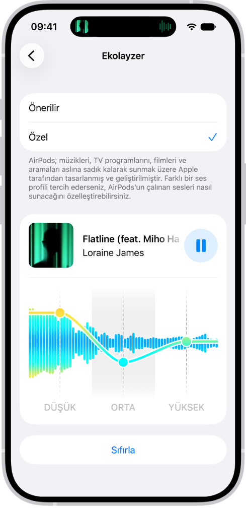 Ekolayzer’in Özel olarak ayarlandığı ve altında Düşük, Orta ve Yüksek sürgülerinin bulunduğu iPhone ekranı.