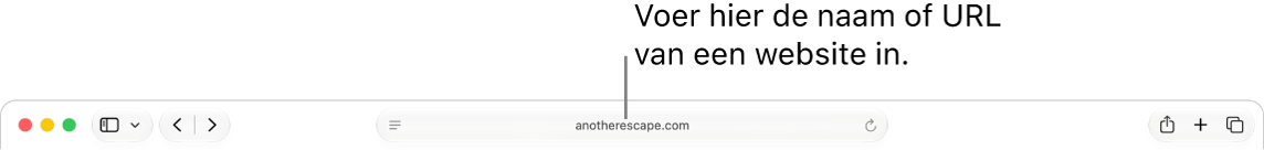 Het slimme zoekveld van Safari, waarin je de naam of URL van een website kunt typen.