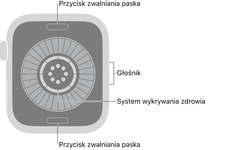 Apple&nbsp;Watch Series&nbsp;12 widziany z&nbsp;tyłu. Na górze i&nbsp;na dole znajdują się przyciski zwalniania paska. Na środku znajduje się system wykrywania zdrowia. Z&nbsp;boku znajduje się głośnik.