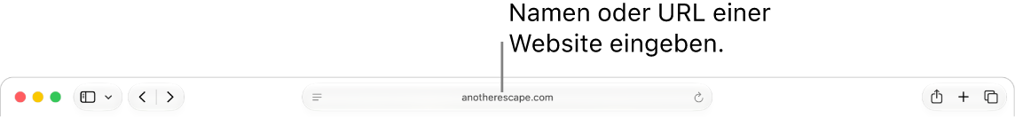 Das intelligente Suchfeld von Safari, in dem du den Namen oder die URL einer Website eingeben kannst.