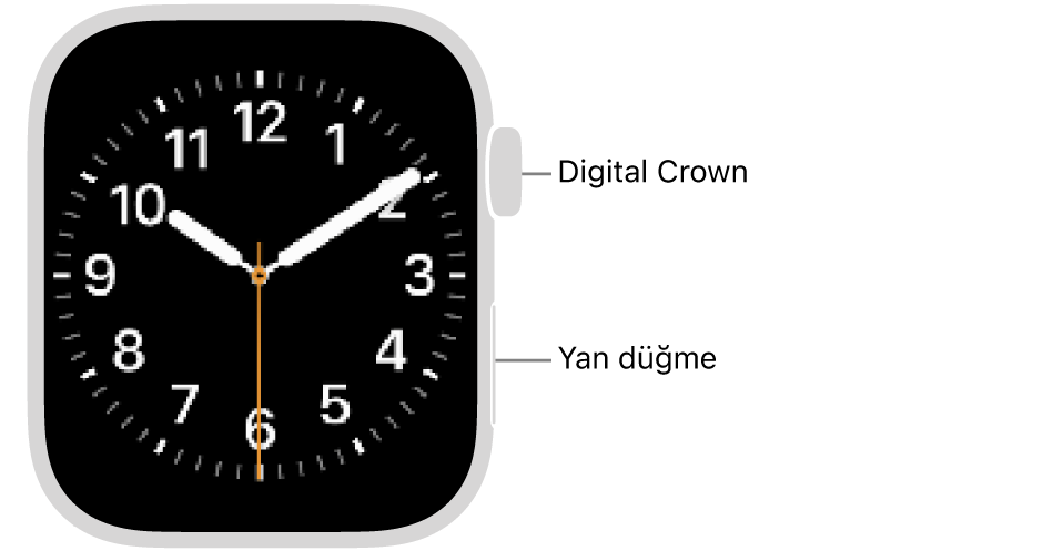 Saatin sağ tarafında, en üstte gösterilen Digital Crown ve sağ altta gösterilen yan düğme ile Apple&nbsp;Watch’un önü.