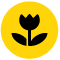 le bouton «&nbsp;Macro auto activé&nbsp;»