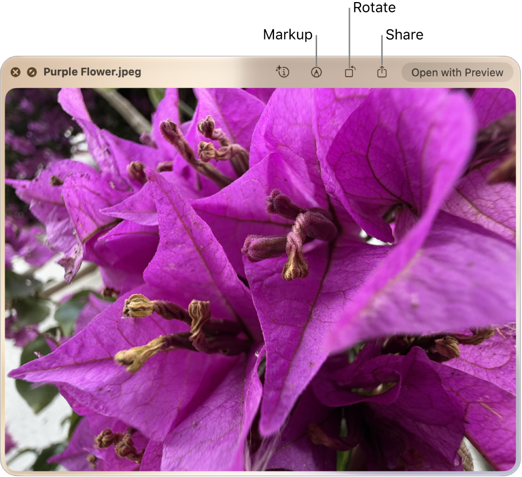 A Quick Look window showing a PDF document floating above the desktop.