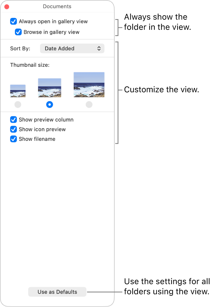 Icon view options for a folder.