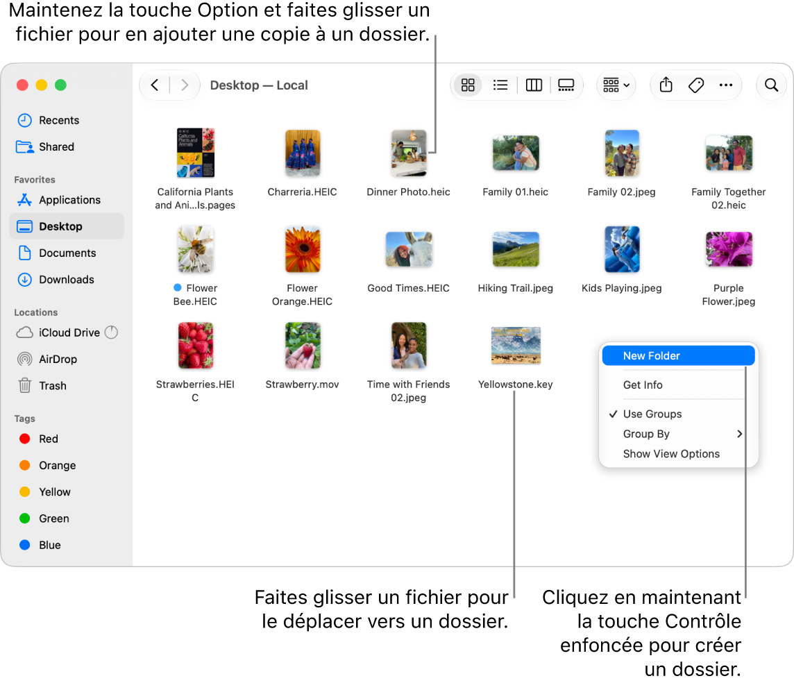 Une fenêtre du Finder qui contient des fichiers et des dossiers. Dans le menu contextuel, Nouveau dossier est surligné.