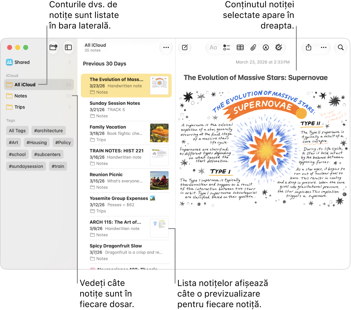 O fereastră a aplicației Notițe de pe Mac cu toate conturile și dosarele configurate listate în bara laterală din stânga, lista de notițe pe mijloc, afișând o previzualizare a fiecărei notițe, și conținutul notiței selectate afișat în partea dreaptă. Numărul de notițe apare lângă fiecare dosar.