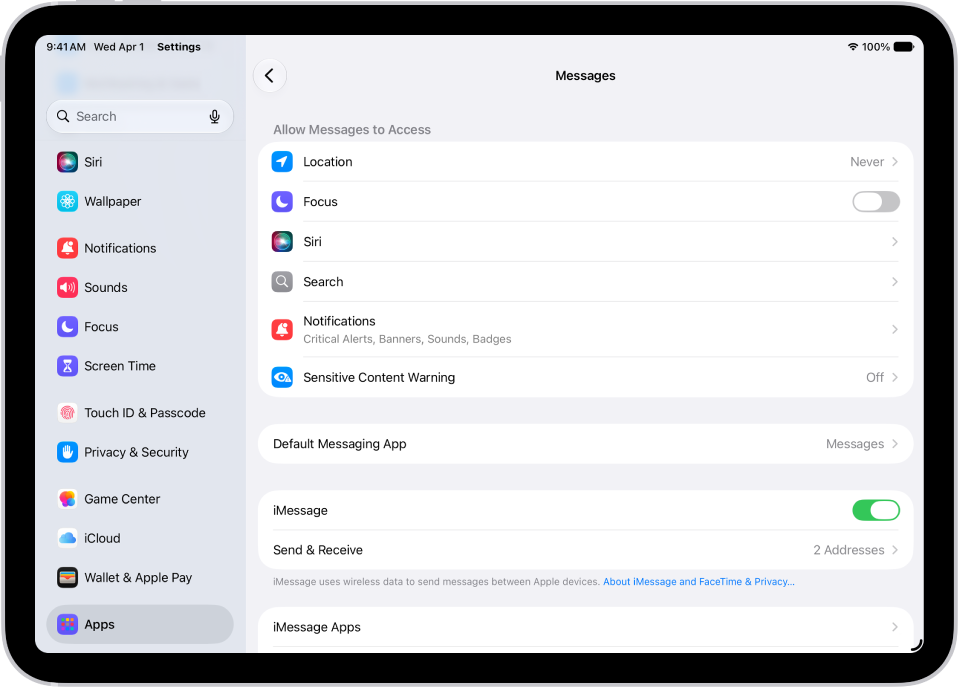 “信息”设置面板中的“iMessage 信息”已打开。