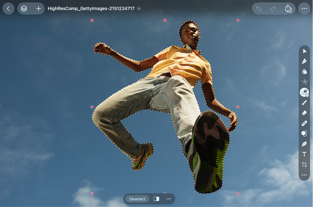 An image selected in the canvas using the Quick Selection tool, which is selected in the Tools sidebar.