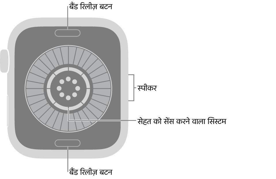 Apple Watch सीरीज़ 12 के पीछे के हिस्से के शीर्ष पर और सबसे नीचे बैंड रिलीज़ बटन, बीच में सेहत सेंसिंस सिस्टम और साइड में स्पीकर हैं।