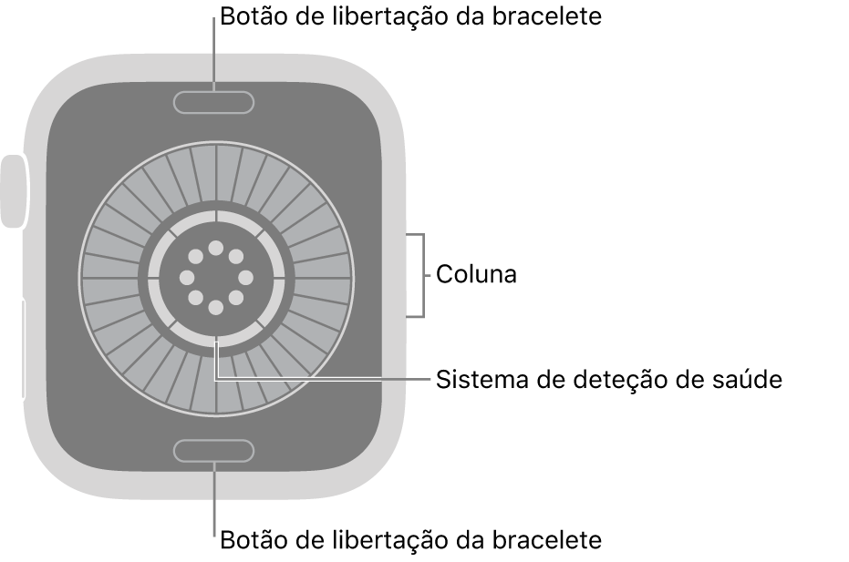 Apple&nbsp;Watch&nbsp;SE&nbsp;12 visto de trás, com os botões de libertação da bracelete na parte superior e na parte inferior, o sistema de deteção de saúde ao meio e a coluna na parte lateral.