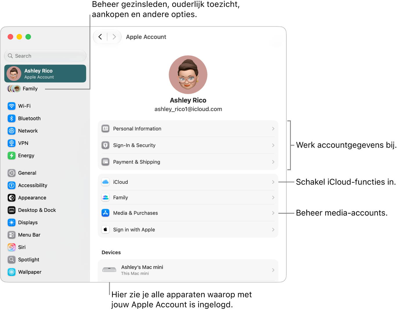 De instellingen voor 'Apple&nbsp;Account' in Systeeminstellingen, met bijschriften voor de opties waarmee je je accountgegevens bijwerkt, iCloud-functies in- of uitschakelt en media-accounts beheert. Verder de instellingen voor 'Gezin', waarmee je gezinsleden, ouderlijk toezicht, aankopen en andere opties beheert.
