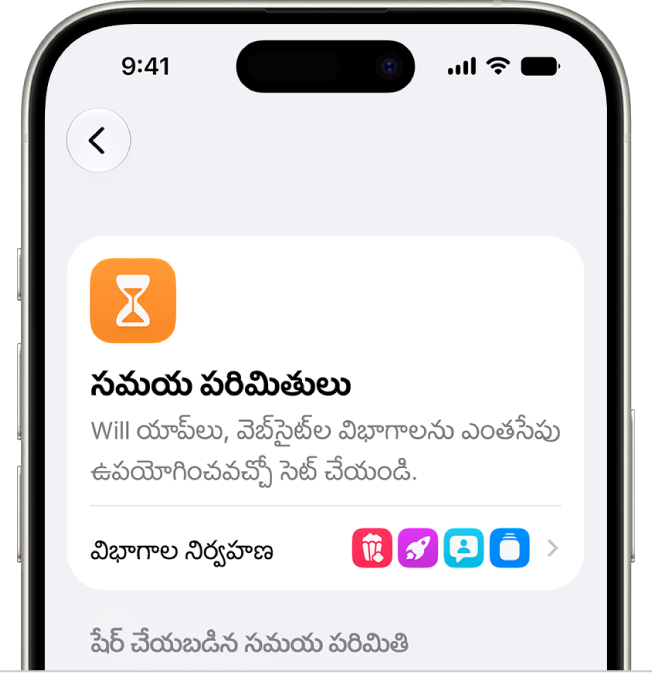 స్క్రీన్ టైమ్ సెట్టింగ్‌లలోని ‘సమయ పరిమితులు’ విభాగం.