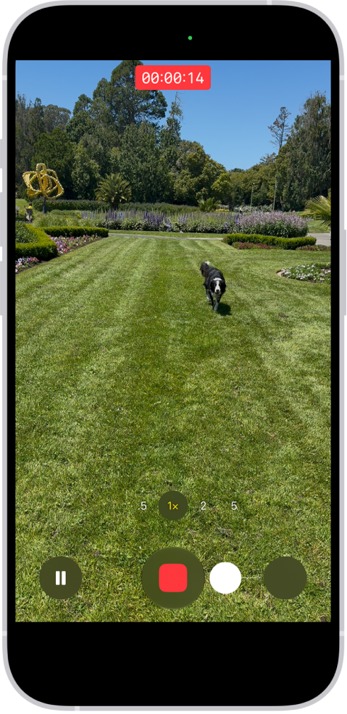 The camera frame fills the screen. At the bottom of the screen, the Shutter button moves to the right, demonstrating the movement of starting a QuickTake video.