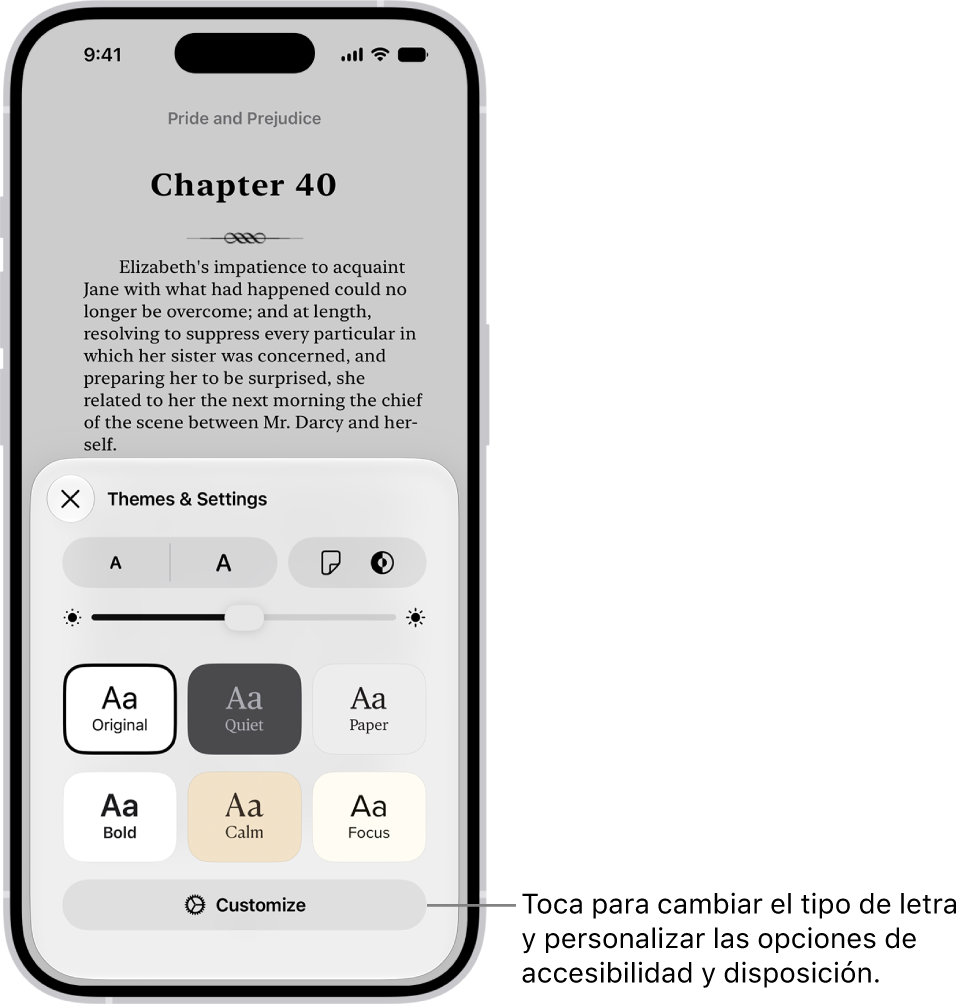 Página de un libro en la app Libros. Las opciones de temas y ajustes con los controles de tamaño de la letra, la vista del desplazamiento, el estilo al pasar de página, el brillo y los estilos del tipo de letra.