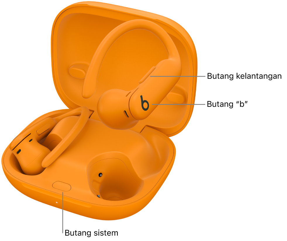 Imej Powerbeats&nbsp;Pro&nbsp;2&nbsp;menunjukkan lokasi butang “b” pada bud telinga dan lokasi butang sistem di dalam bekas pengecasan.