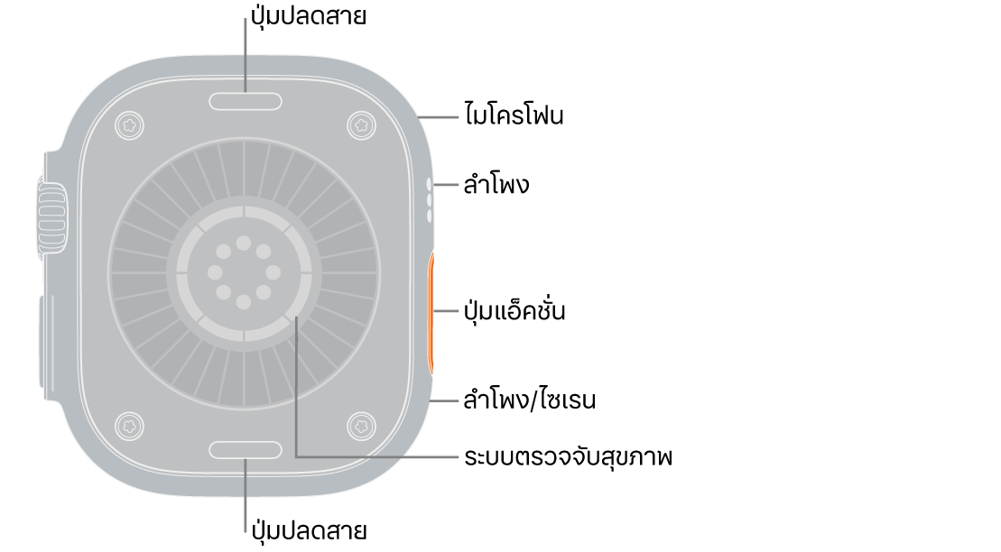 ด้านหลังของ Apple Watch Ultra 4 ที่มีปุ่มปลดสายที่ด้านบนสุดและที่ด้านล่างสุด ที่ด้านข้างคือไมโครโฟน ลำโพง ระบบตรวจจับสุขภาพ ปุ่มแอ็คชั่น และพอร์ตลำโพงที่จะส่งเสียงไซเรน