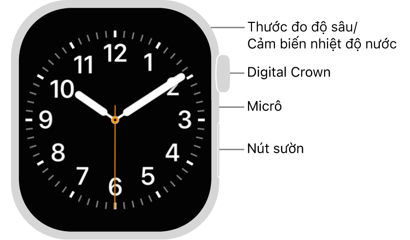 Mặt trước của Apple&nbsp;Watch Series&nbsp;12, với màn hình đang hiển thị mặt đồng hồ và Digital Crown, micrô và nút sườn từ trên xuống dưới trên sườn của đồng hồ.