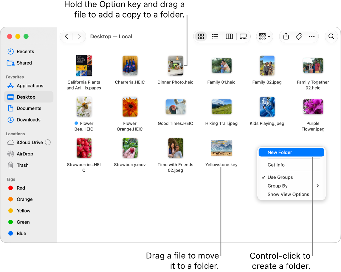 A Finder window containing files and folders. In the shortcut menu, New Folder is highlighted.