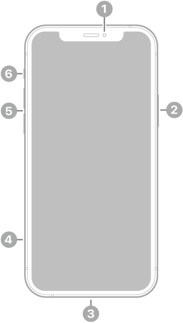 Vorderansicht des iPhone 12 Pro. Oben in der Mitte befindet sich die Frontkamera. An der rechten Seite befindet sich die Seitentaste. An der Unterseite befindet sich der Lightning Connector. An der linken Seite von unten nach oben befinden sich das SIM-Fach, die Lautstärketasten und der Schalter „Klingeln/Stumm“.