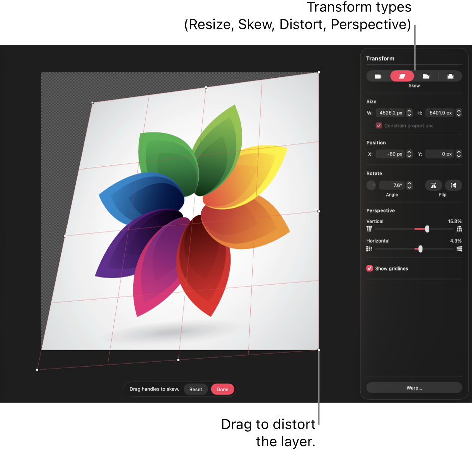 A layer in the canvas with a distortion adjustment applied, alongside the Transform pane.