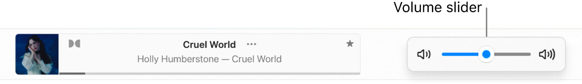 The volume slider.