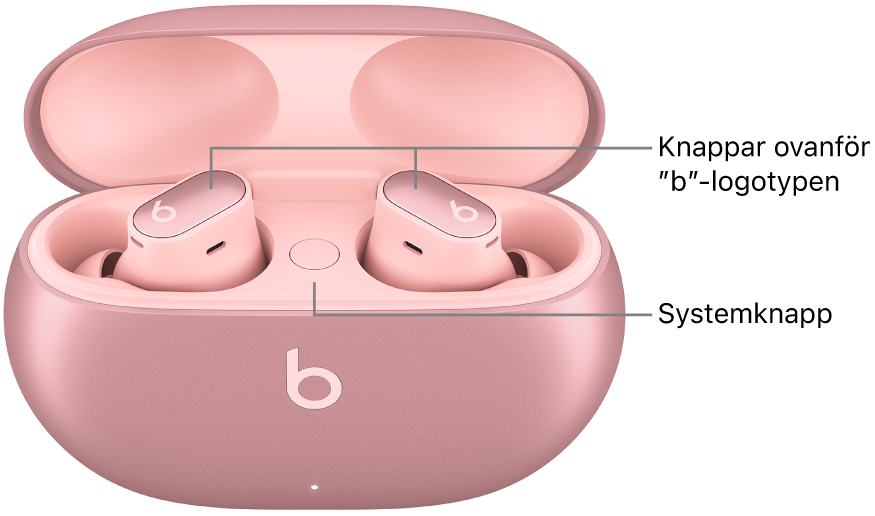 Bild på Beats&nbsp;Studio&nbsp;Buds&nbsp;+ som visar platsen för knapparna ovanför ”b”-logotypen på vardera öronsnäcka och platsen för systemknappen inuti laddningsetuiet.