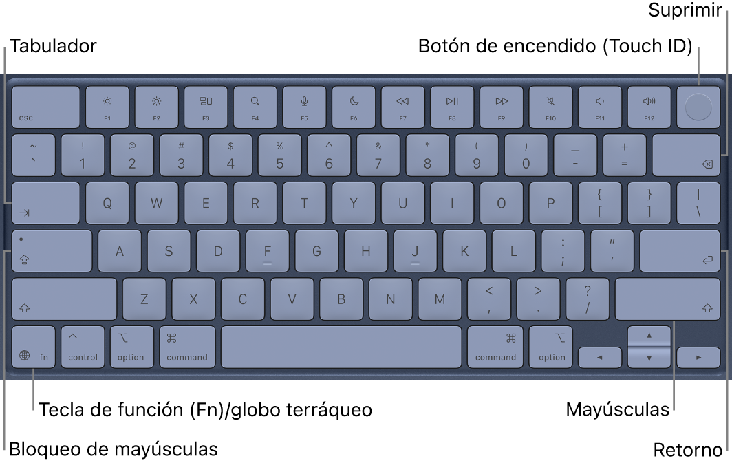 Teclado del MacBook&nbsp;Neo con el botón combinado de encendido y Touch&nbsp;ID en la parte superior derecha, la tecla de función en la esquina inferior izquierda y las teclas Tabulador, Bloq&nbsp;Mayús, Mayúsculas, Suprimir y Retorno.