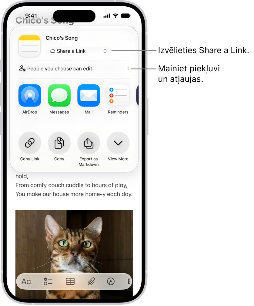 Sadarbības uzaicinājums uz recepti lietotnē Notes, kurā redzama kopīgošanas opcija Share a Link un “People you choose can edit” kā piekļuves un atļaujas iestatījums. Zemāk ir norādīti četri dažādi veidi, kā kopīgot piezīmi. AirDrop, Messages, Mail un Reminders.