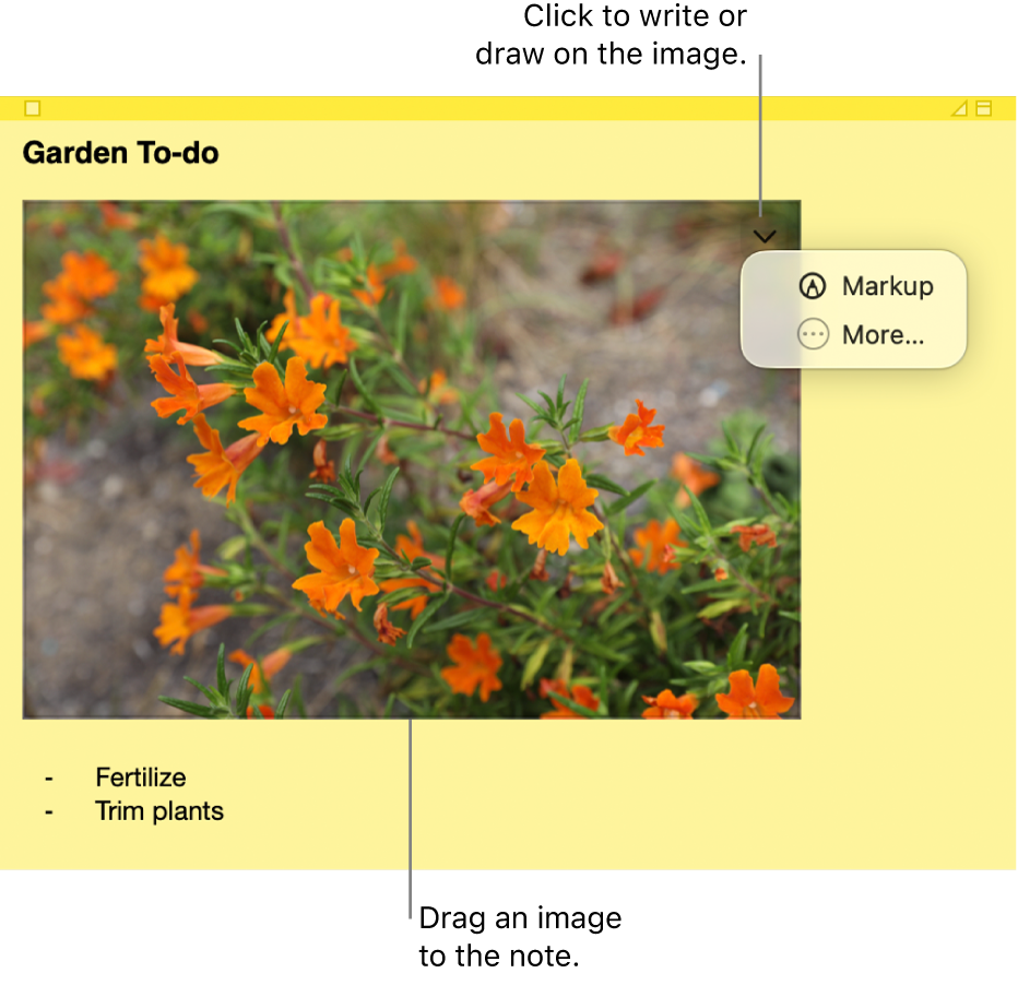 An open sticky note with an image.