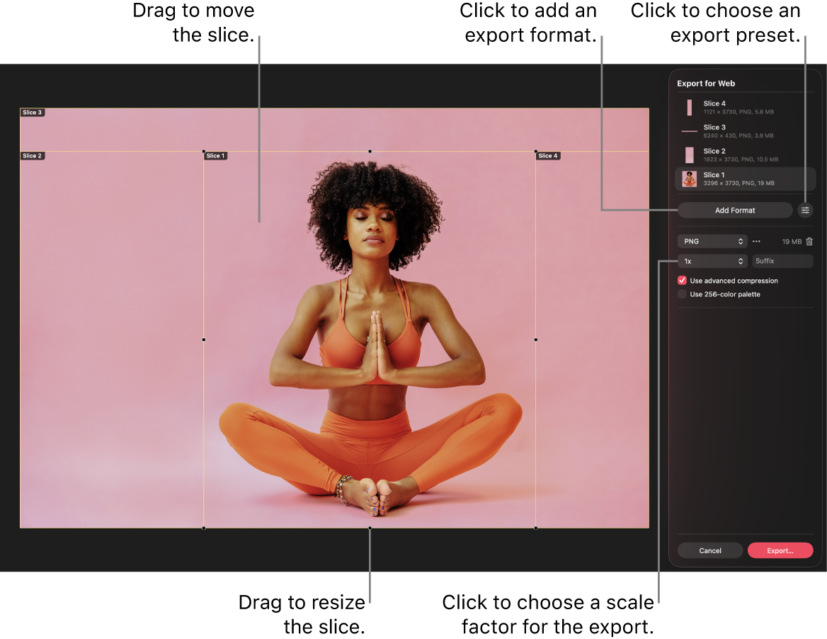 A photo with the Export for Web tool activated and slices visible in the canvas.