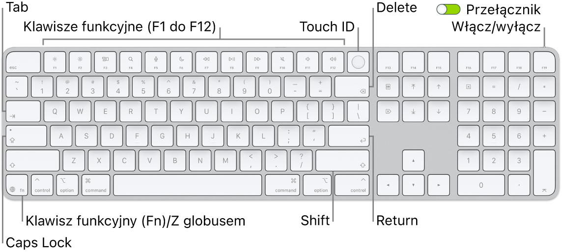 Klawiatura Magic Keyboard z&nbsp;Touch ID oraz klawiaturą numeryczną. Na górze znajduje się rząd klawiszy funkcyjnych oraz czytnik Touch ID, natomiast na prawo od klawisza Delete widoczny jest klawisz funkcji (Fn)/klawisz globu.